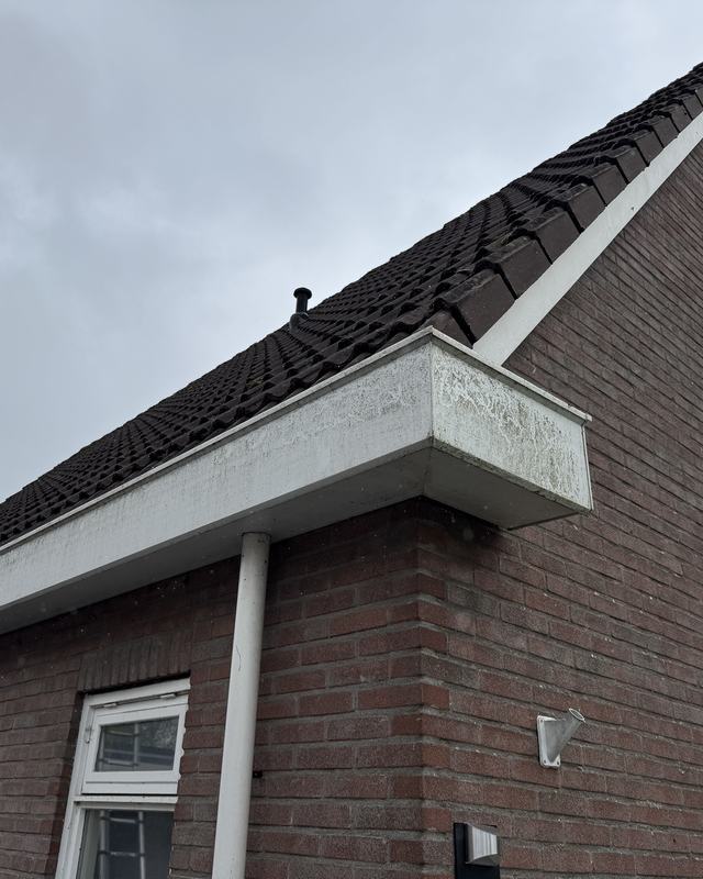 Voor: Kunststof dakgoot