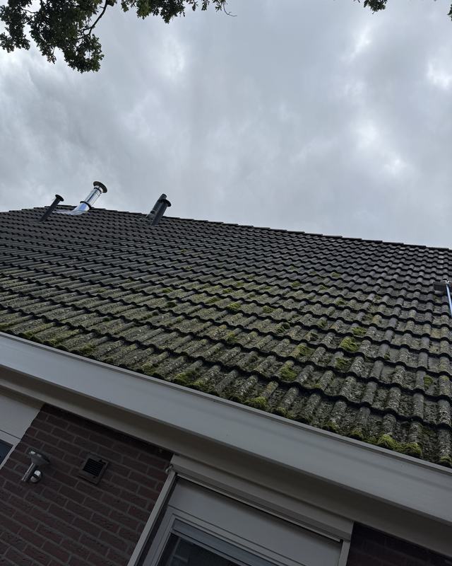 Voor: Dakreiniging