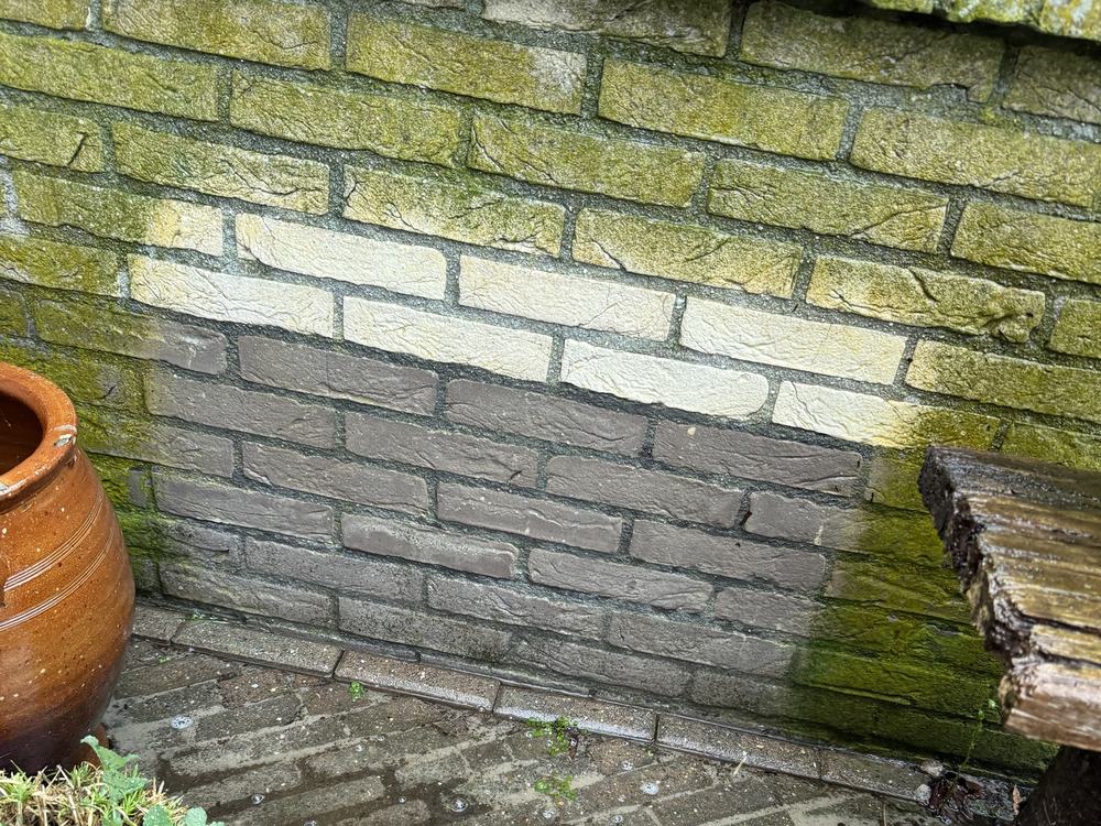 Gevel met zware groene aanslag